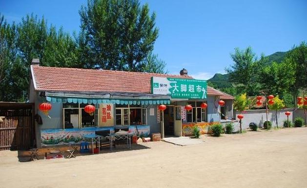 在农村做什么生意好：4个不起眼的致富好项目推荐,一天赚500,农村