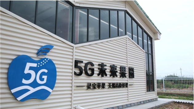 天上无人机，地上无人车！看灵宝未来果园里的“黑科技”
