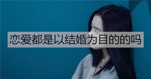 恋爱都是以结婚为目的的吗2