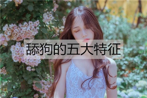 舔狗是什么意思？舔狗的五大特征