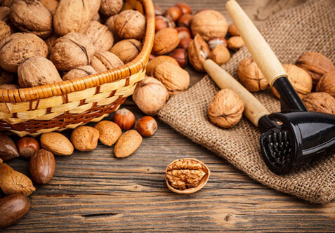 研究发现：适量吃坚果能够帮助减肥