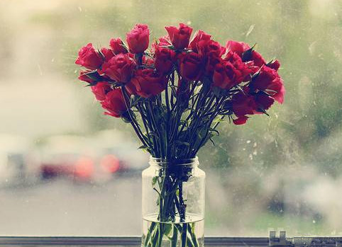 表白需要准备什么 表白必备三要素