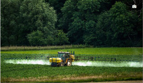 蔬果吃太多会导致男性超重？