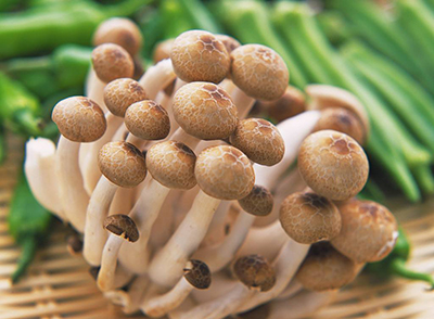 最常见的瘦身食物蘑菇 非常适合减肥时食用