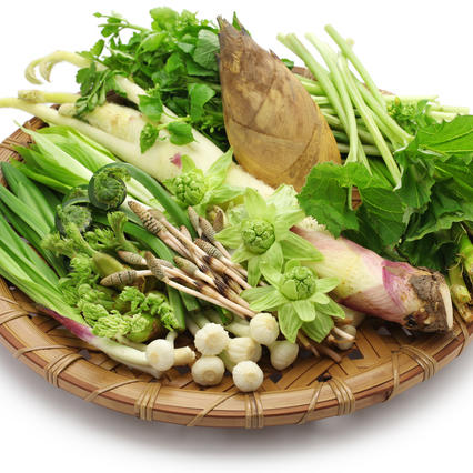 春季多吃野菜可以促进减肥