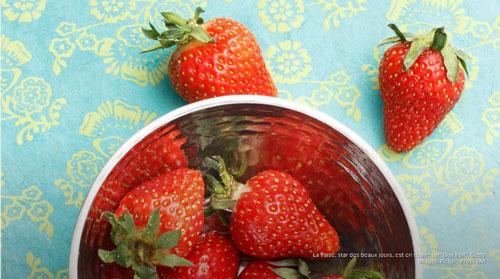 关于草莓你必须知道的10件事