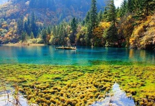 怎么才能追回前女友 10招增加挽回成功率