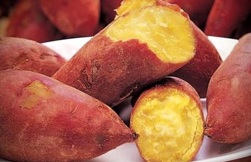 红薯减肥法，按照这份食谱吃 两周就能变瘦！