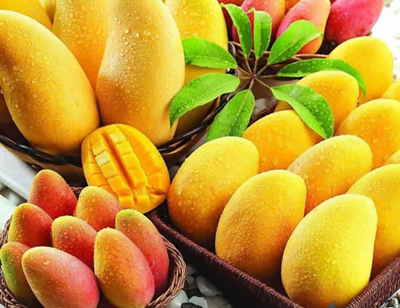 研究表明：多吃芒果有助减肥