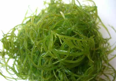 3种减肥食物让你吃成瘦子
